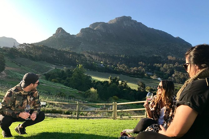 Cape Town Peninsula Day Tour ( Cape Point/Boulders/Wine Tasting) - Timing, pickup, and what to bring