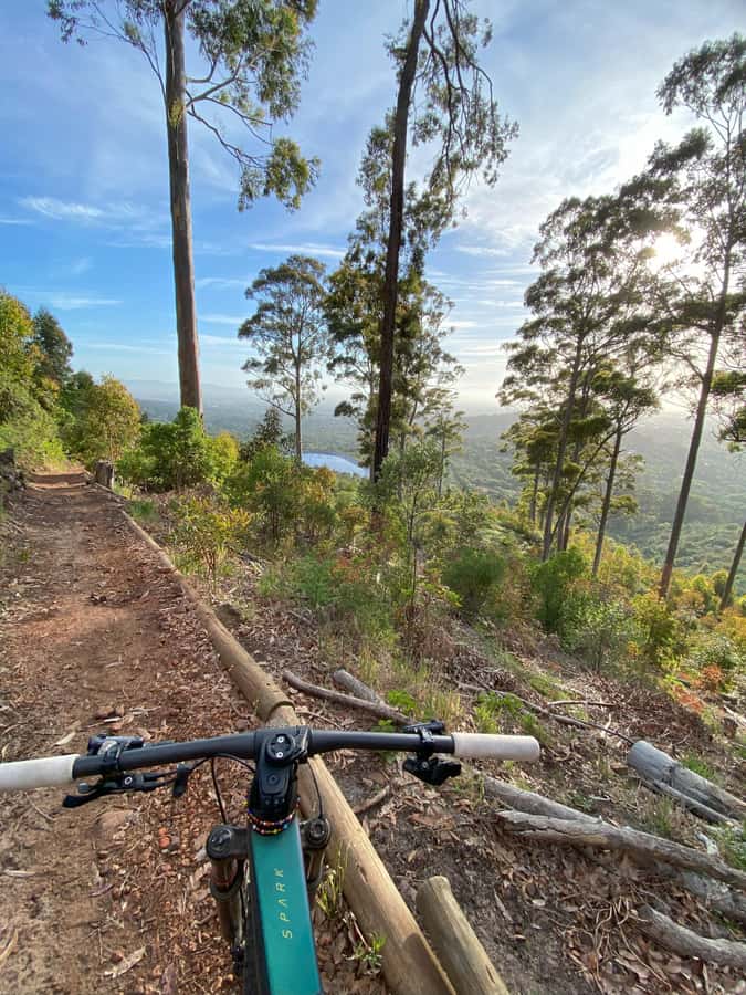 Cape Town: Peninsula Private Mountain Bike Tour with Ex-Pro - What the three recent ratings tell you