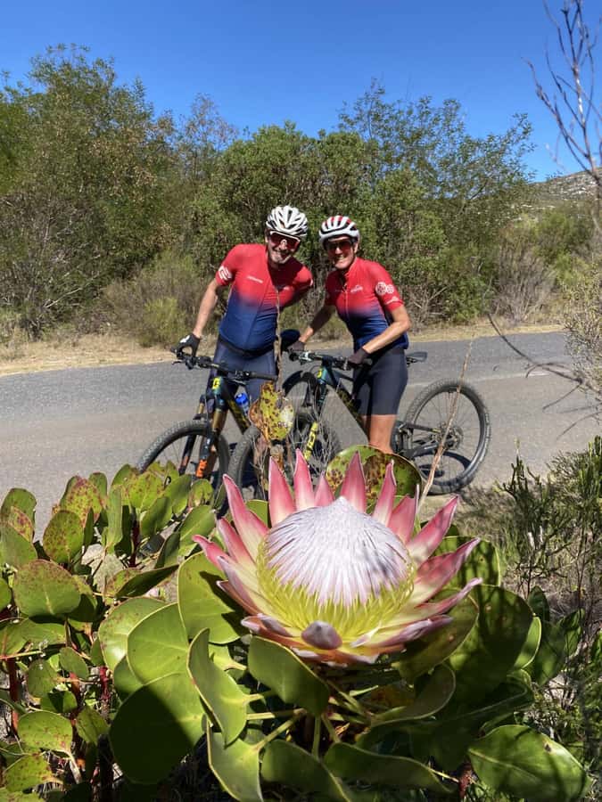 Cape Town: Peninsula Private Mountain Bike Tour with Ex-Pro - Greenbelts, vineyards, and the first look at the Southern Peninsula
