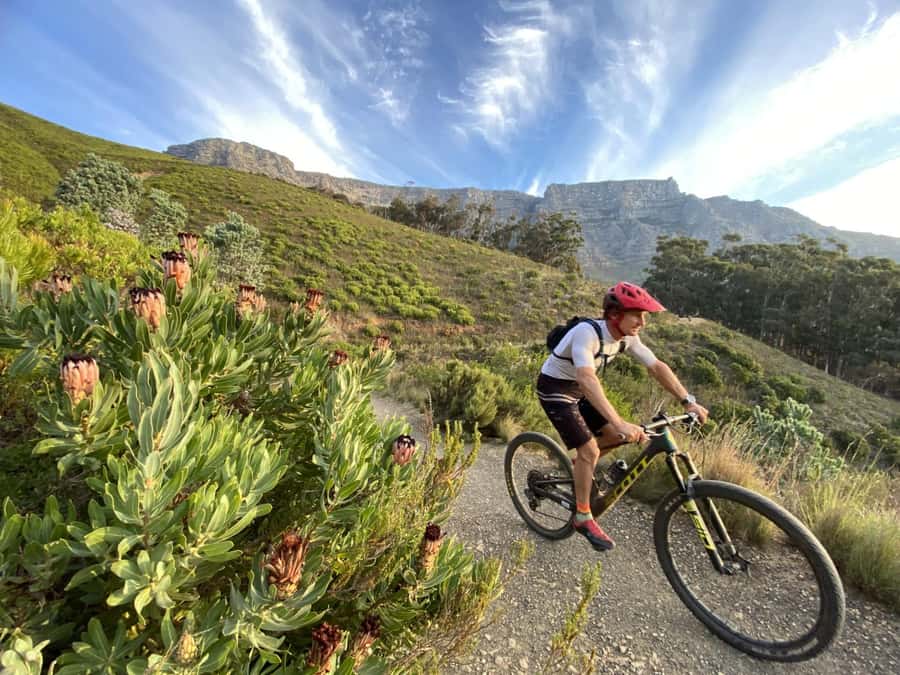Cape Town: Peninsula Private Mountain Bike Tour with Ex-Pro - Who should book, and who should think twice
