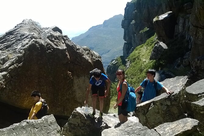 Cape Town: Platteklip Gorge Half-Day Hike on Table Mountain - Reaching the summit and planning your descent