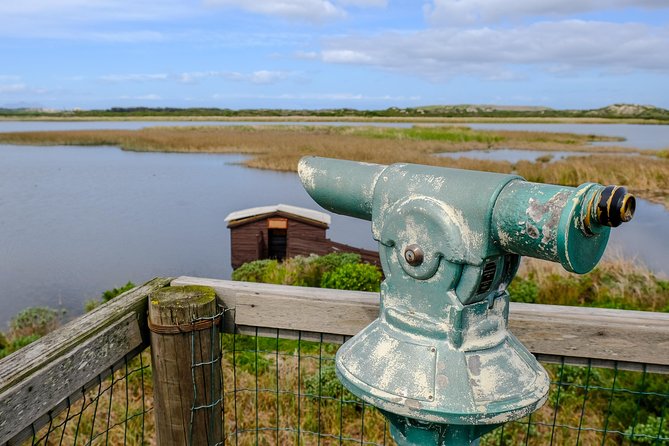 Cape Town Private Birding Tour - Price, entrance fees, and what you really pay