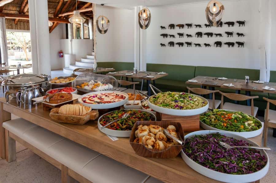 Cape town: Private Full-day Big 5 Aquila Game Reserve Tour - What the safari feels like in practice