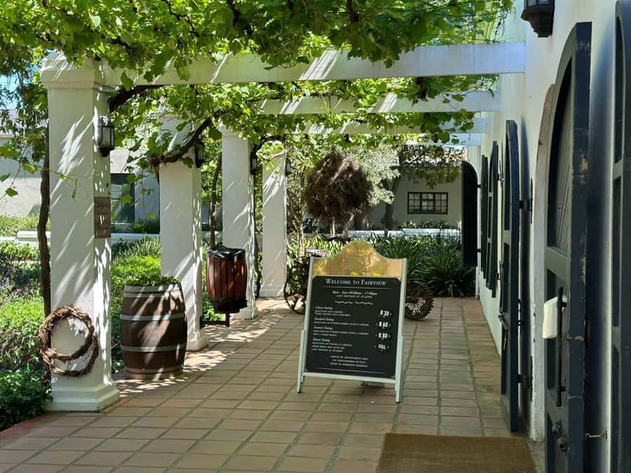 Cape town: Private Full-day Big 5 Aquila Game Reserve Tour - What the $167 price really covers