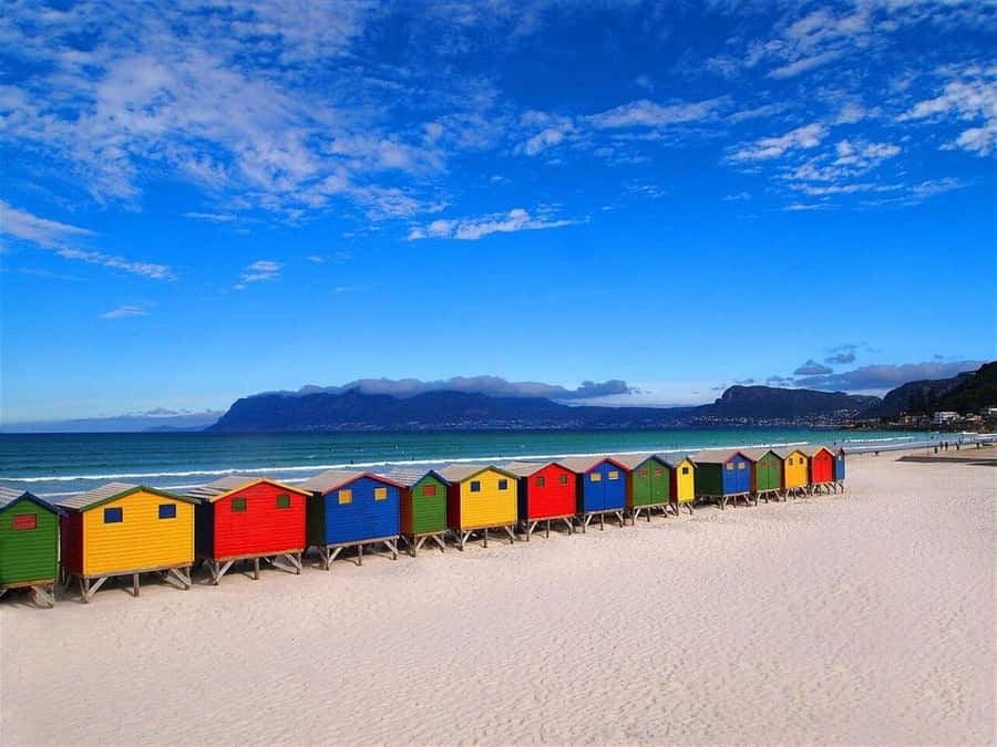 Cape Town: Private Full-Day Cape of Good Hope Tour - Why a private Cape Peninsula day works so well