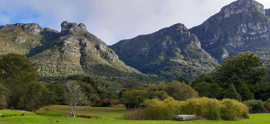 Cape Town: Private Full Day City & Winelands Tour - Practical planning for the 9.5-hour outing