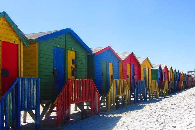 Cape Town Private Group Tour to Cape of Good Hope and Boulders Penguins Colony - The Cape of Good Hope