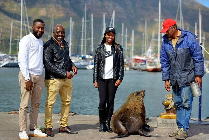 Cape Town Private Group Tour to Cape of Good Hope and Boulders Penguins Colony - Boulders Beach and the African penguins
