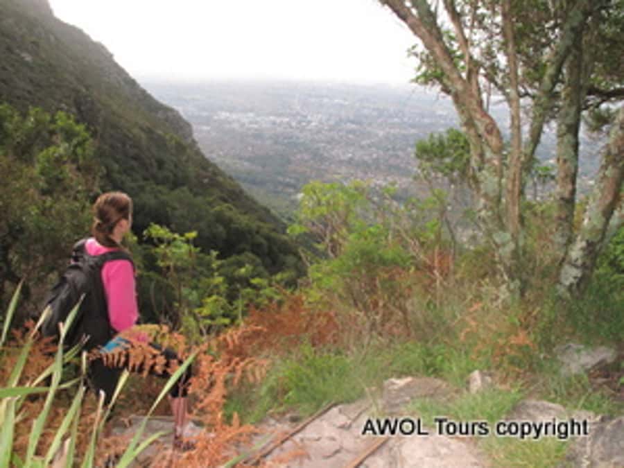 Cape Town Private Guided Table Mountain Hikes - Fitness, footwear, and mountain weather