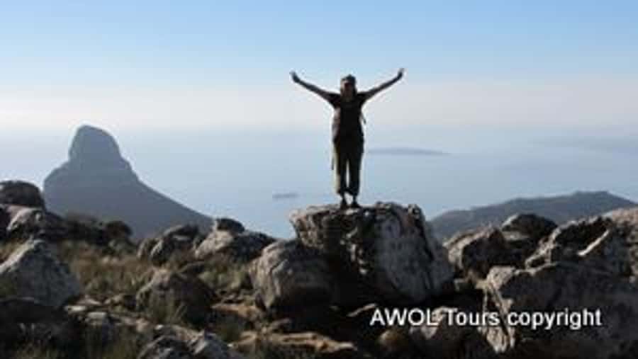 Cape Town Private Guided Table Mountain Hikes - What the $294 price buys you
