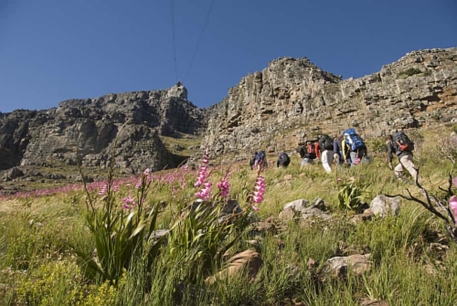 Cape Town Private Guided Table Mountain Hikes - Should you book Cape Town Private Guided Table Mountain Hikes?