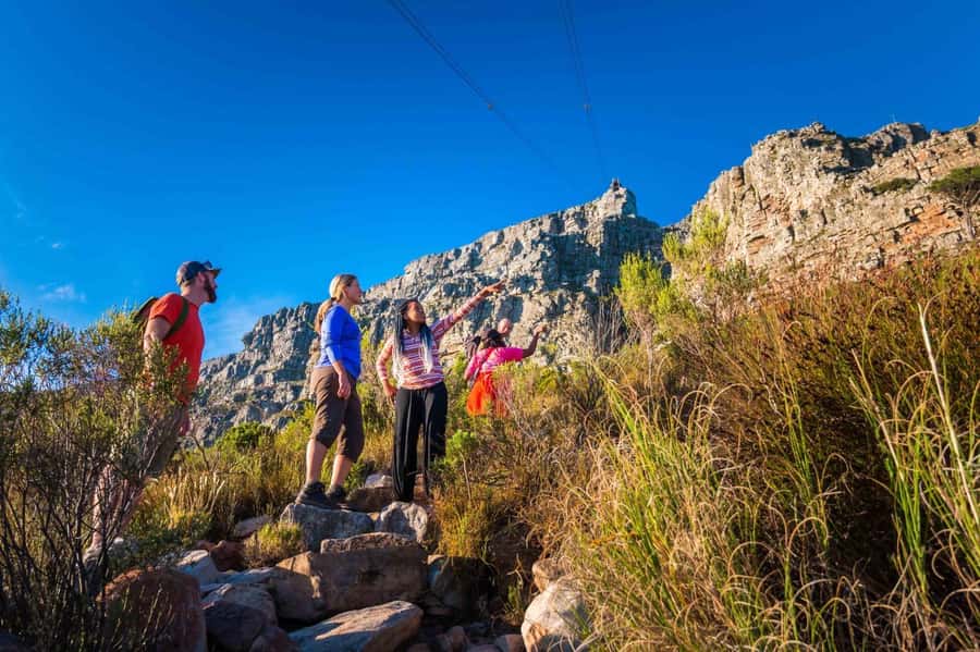 Cape Town Private Guided Table Mountain Hikes - Choosing between six Cape Town routes