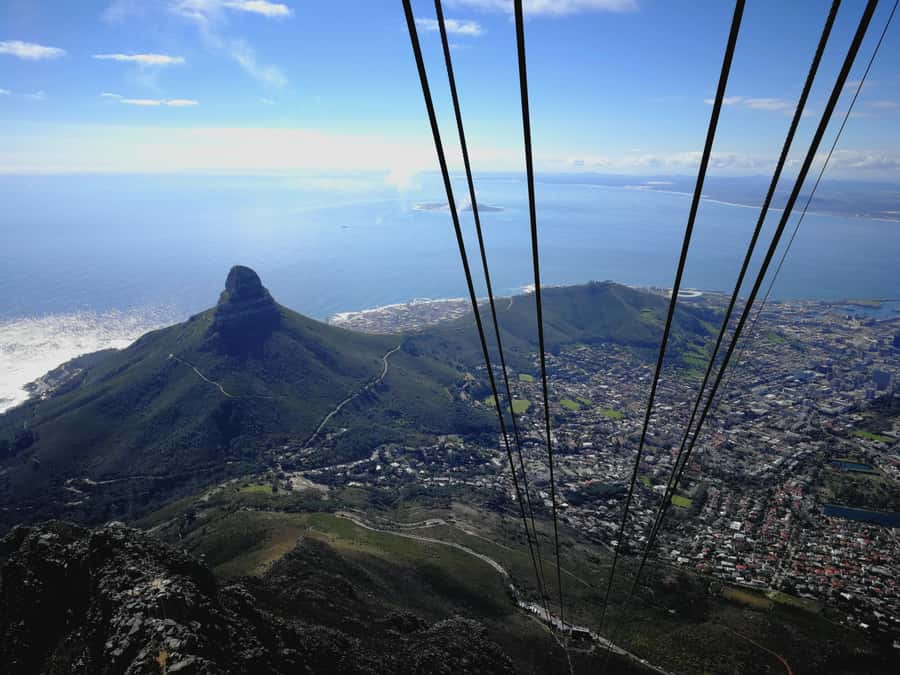 Cape Town: Private Half Day City Tour - A five-hour introduction to Cape Town