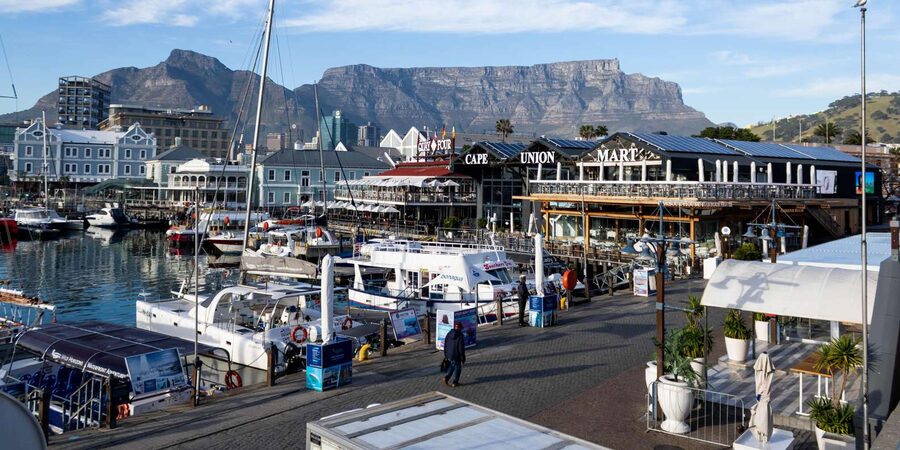 Cape Town: Private Half Day City Tour - The guide can make or break the short schedule