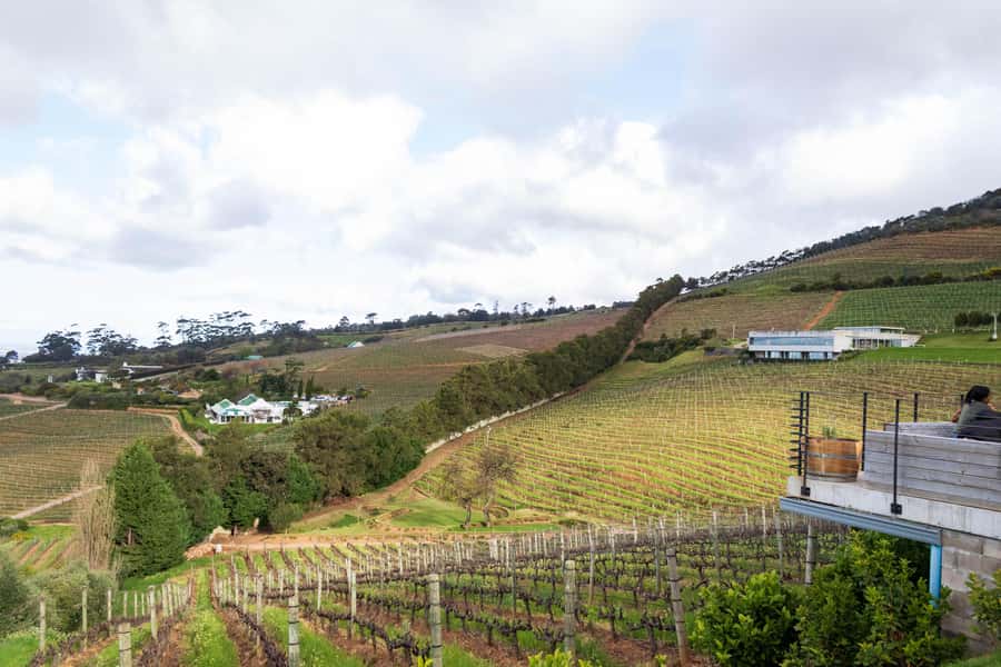 Cape Town: Private Half Day Winelands Tour - Key Points at a Glance