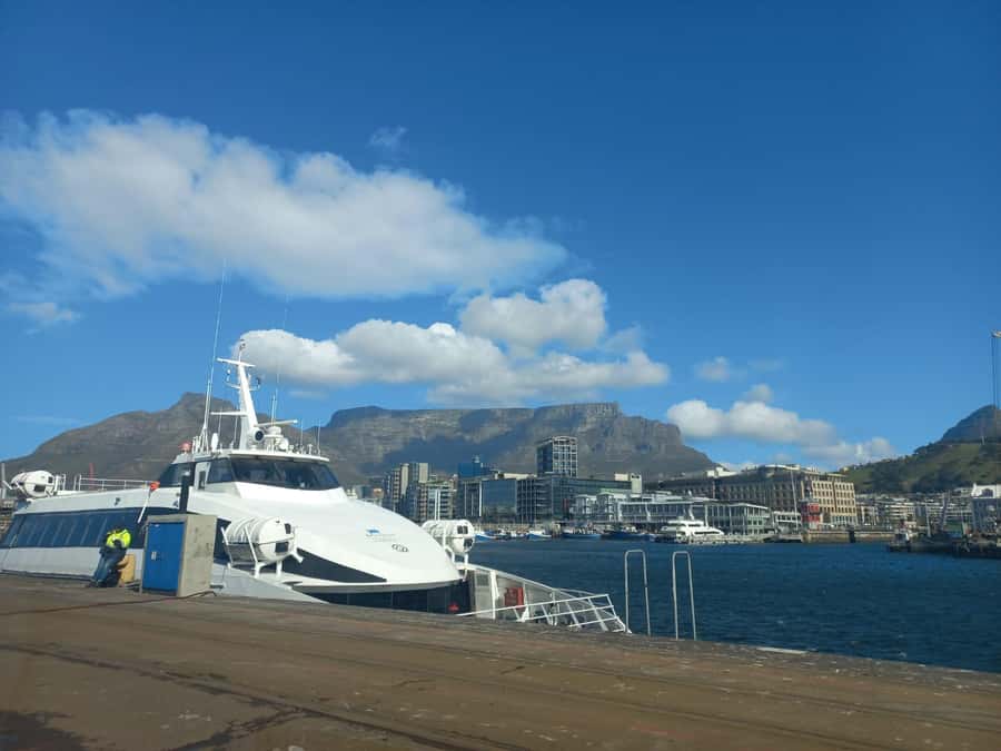 Cape Town: Private Robben Island Half-Day Tour with Pickup - The island bus ride puts the prison in context