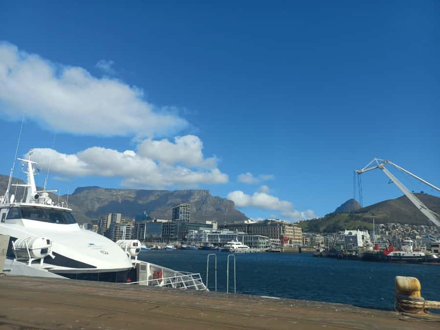 Cape Town: Private Robben Island Half-Day Tour with Pickup - Is $93 per person good value?