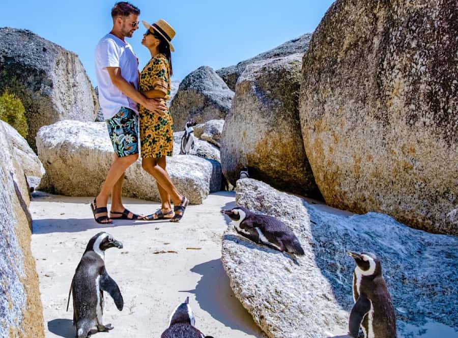 Cape Town Private Tour to Cape Of Good Hope and the Penguins - Why This Private Tour Works Well for Cape Town
