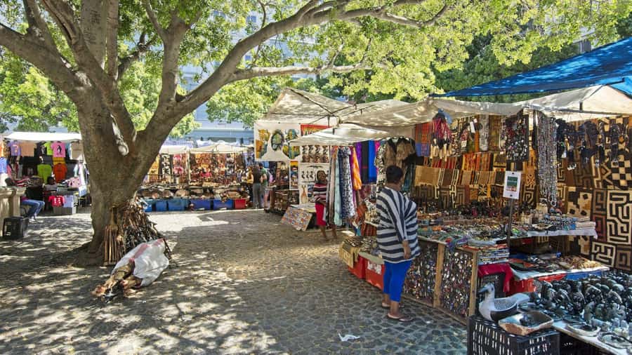 Cape Town Private Tour with a Local Highlights & Hidden Gems - Company’s Garden, St. George’s Cathedral, and central Cape Town
