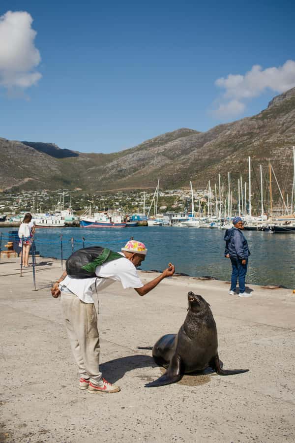Cape Town: Private Tour with Customizable Itinerary - Stellenbosch and Franschhoek for a wine-focused day