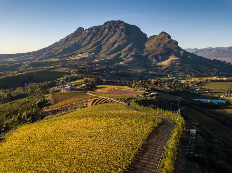 Cape Town: Private Wine Tour with Tastings and Lunch - Grande Provence: a first taste after arrival