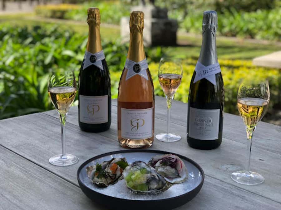 Cape Town: Private Wine Tour with Tastings and Lunch - Rust en Vrede: the two-hour lunch stop
