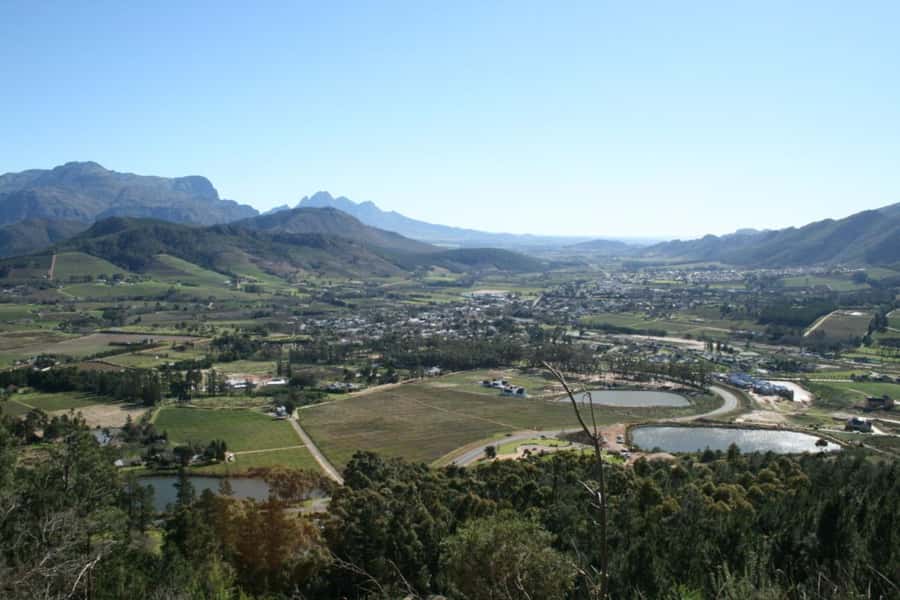 Cape Town: Private Wine Tour with Tastings and Lunch - Guide quality can shape the whole day