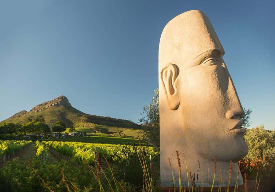Cape Town: Private Wine Tour with Tastings and Lunch - Stellenbosch and Franschhoek in one day