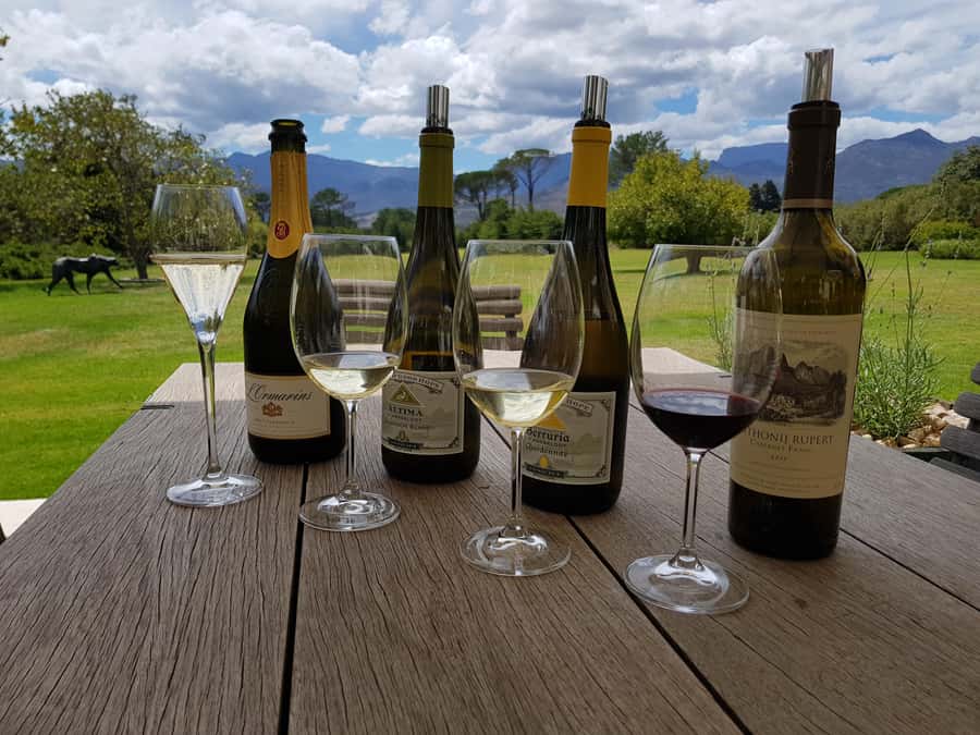 Cape Town: Private Wine Tour - Groot Constantia brings the history