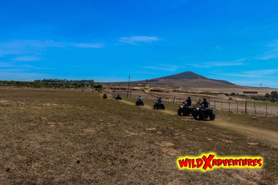 CAPE TOWN: QUAD BIKE FUN RIDE AT OSTRICH RANCH, DURBANVILLE - Following the bush trail inside the ostrich ranch