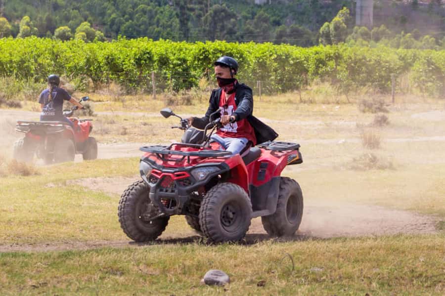 CAPE TOWN: QUAD BIKE FUN RIDE IN PAARL, FREEDOM FARM 301 - Thirty minutes across Paarl’s rugged trails