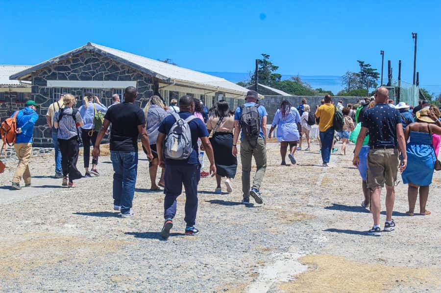 Cape Town: Robben Island ferry ticket plus Guided Tour - The 30-minute ferry ride across Table Bay