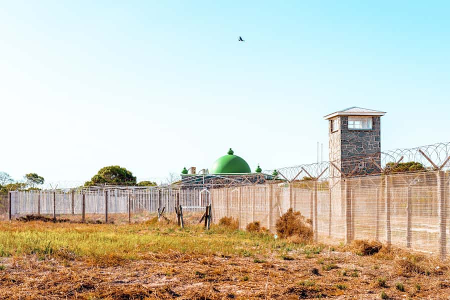 Cape Town: Robben Island Ferry Tour with 1-Way Hotel Pickup - Why Robben Island deserves a full morning