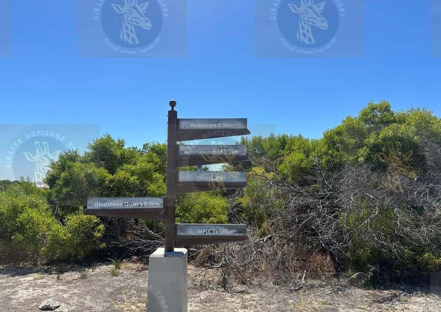 Cape Town: Robben Island Ferry with Prison Ticket and Tour - How to prepare for a smoother visit