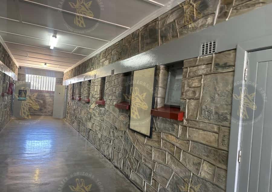 Cape Town: Robben Island Ferry with Prison Ticket and Tour - Why Robben Island matters beyond Mandela’s cell