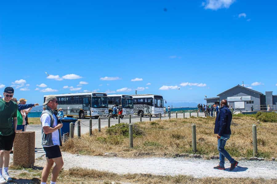 Cape Town:Robben Island Guided Tour, Skip the Ticketing Line - What the $73 price includes