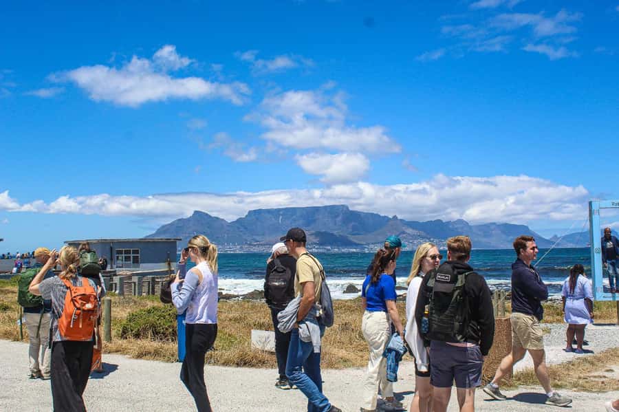 Cape Town:Robben Island Guided Tour, Skip the Ticketing Line - Should you book the Robben Island tour?