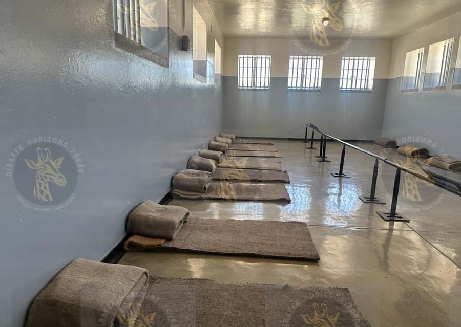 Cape Town: Robben Island Half-Day Tour w/ Pre-Booked Ticket - Coach tour or walking tour?
