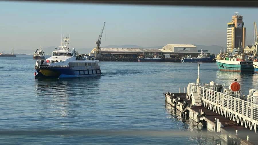 Cape Town: Robben Island Half-Day Tour with Entry Tickets - Is $73 a good value?