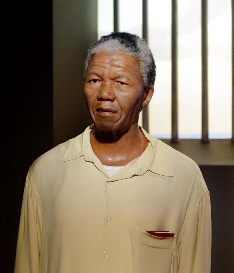 Cape Town: Robben Island Half-Day Tour with Entry Tickets - Should you book the Robben Island half-day tour?