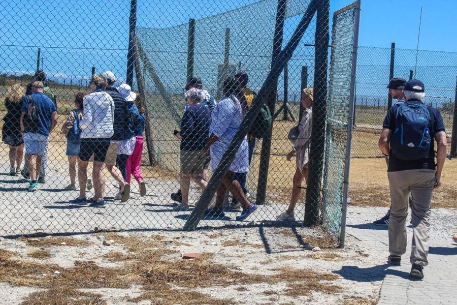 Cape Town: Robben Island plus Table Mountain Tickets - Weather is the day’s biggest variable