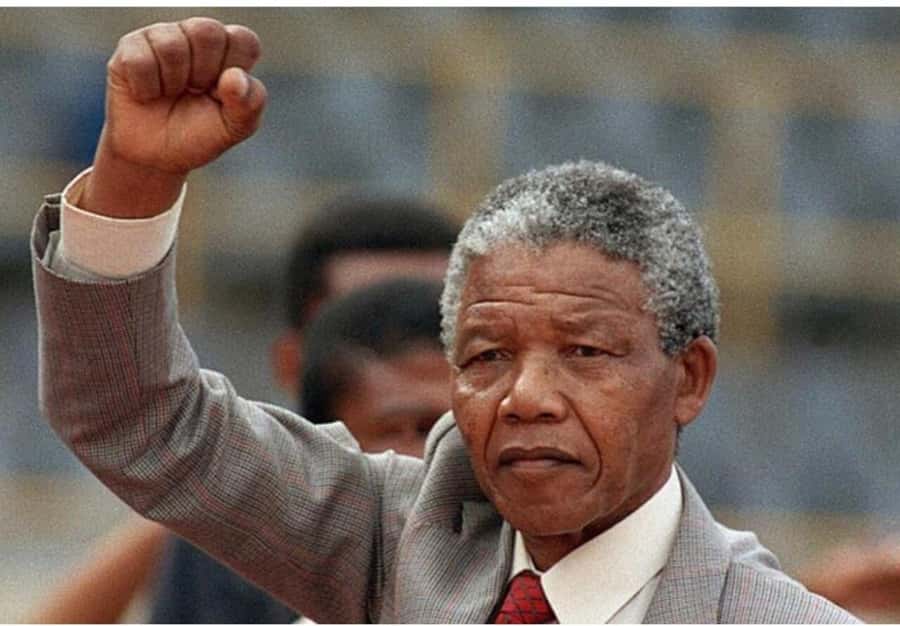 Cape Town: Robben Island Tour Tickets and V&A Waterfront - Key points at a glance