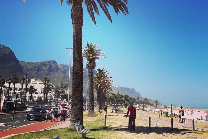 Cape Town's Finest City Bike Tour - Tea and cake at The Company’s Garden