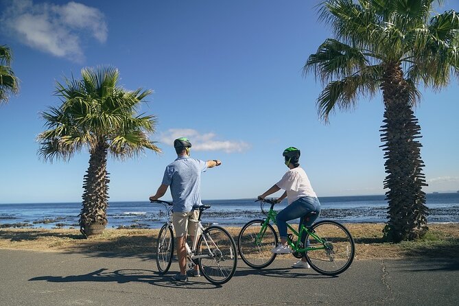 Cape Town's Finest City Bike Tour - Bikes, helmets, pace, and safety