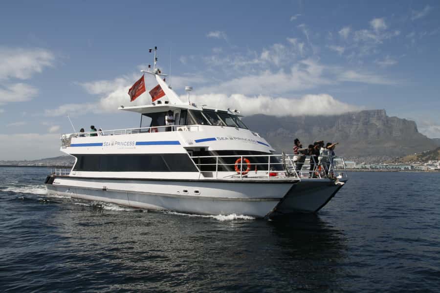 Cape Town: Scenic 1-Hour Coastal Catamaran Cruise - Key points to know before boarding
