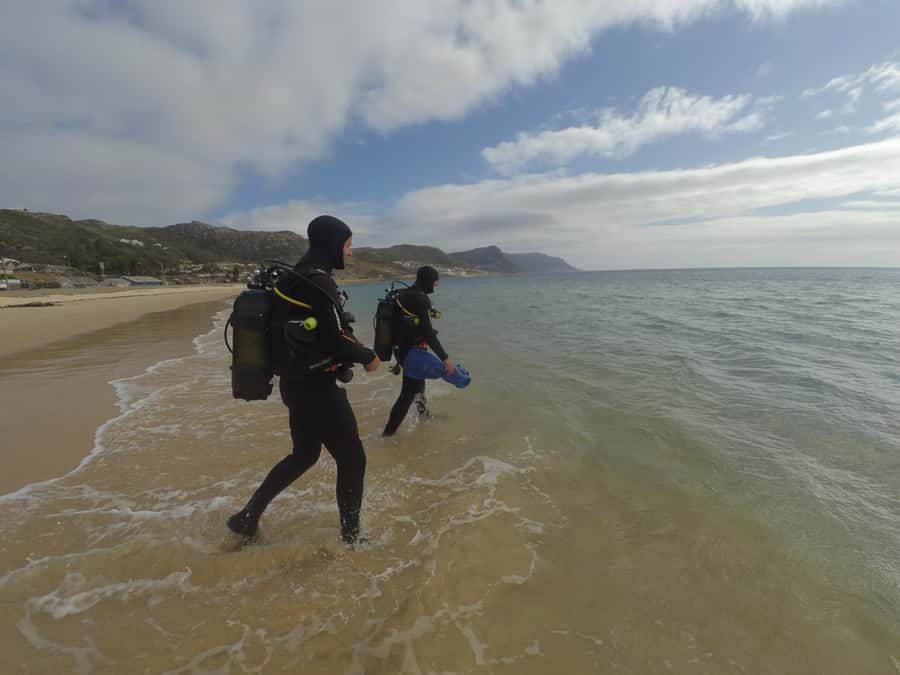 Cape Town: Scuba Diving Experience for Beginners - Meeting Just Nuisance in Jubilee Square