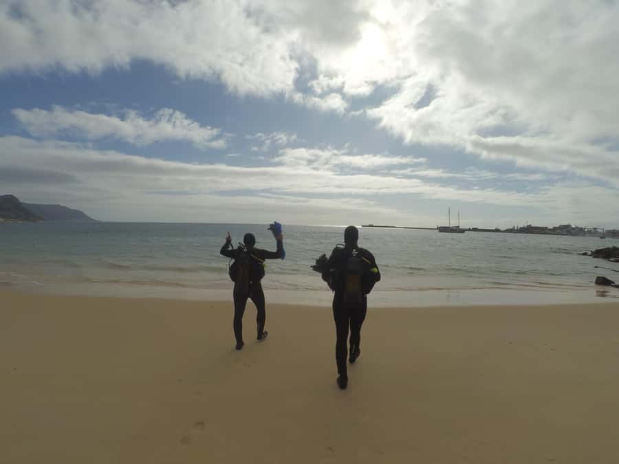 Cape Town: Scuba Diving Experience for Beginners - Choosing the Site Around Weather and Ability