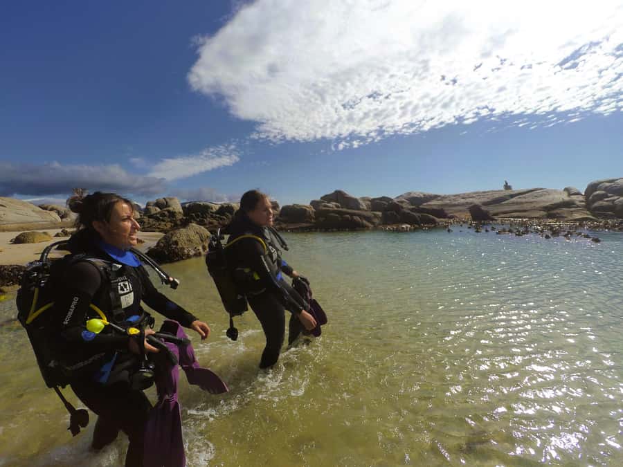 Cape Town: Scuba Diving Experience for Beginners - What Makes the Instruction So Important