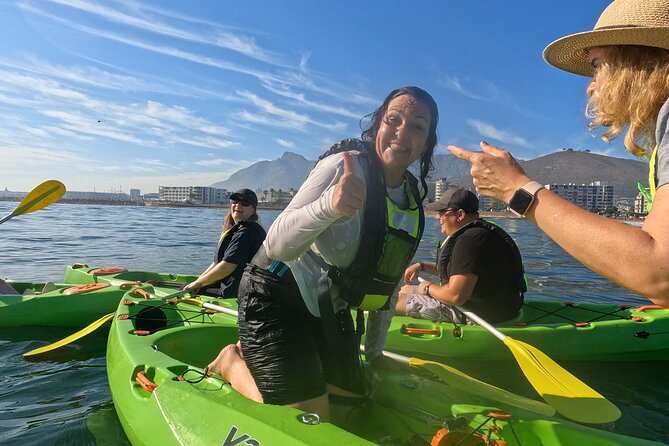Cape Town Sea Kayaking Adventure launching from V&A Waterfront - Watching for seals, dolphins, sunfish, and penguins