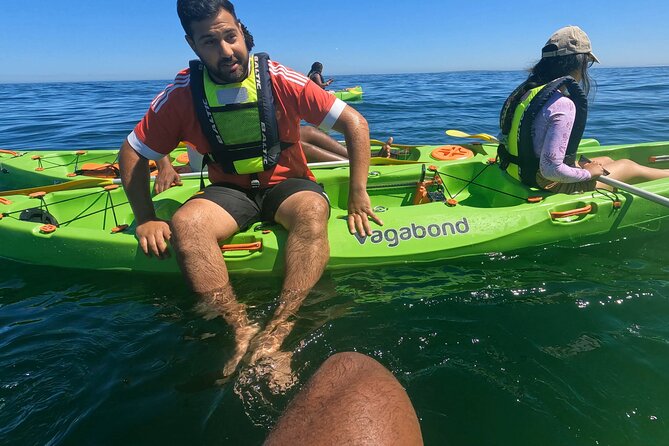 Cape Town Sea Kayaking Adventure launching from V&A Waterfront - Making sense of the $30.59 price